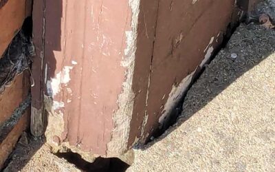 How Hidden Access Points in Your Home Invite Termites In — And What You Can Do About It