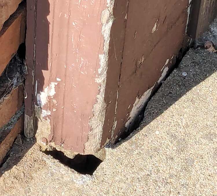 How Hidden Access Points in Your Home Invite Termites In — And What You Can Do About It