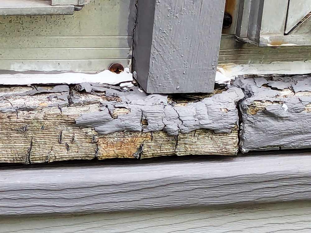 termite2 Easy access for termites